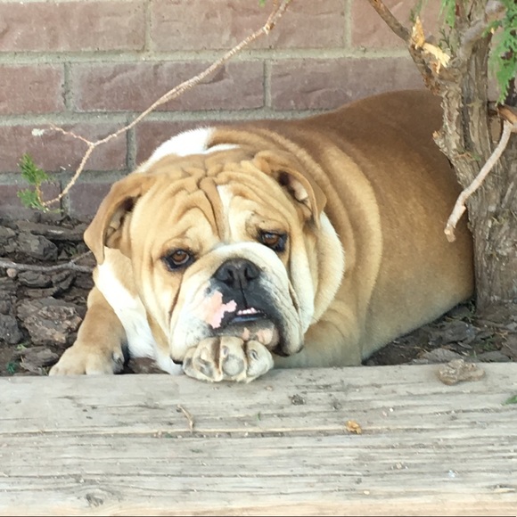 Meet your Posher, Karina - Picture 2 of 3